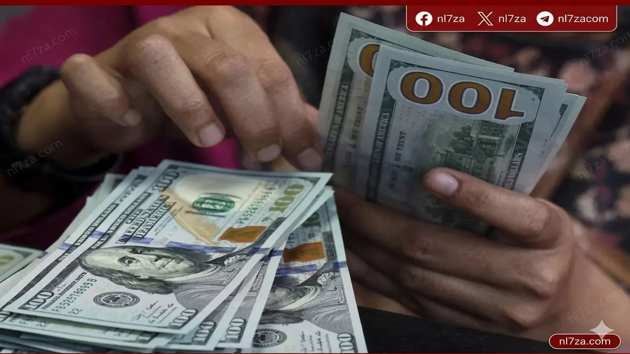 سعر الدولار يستقر أمام الجنيه في البنوك المصرية اليوم الثلاثاء